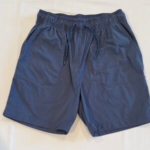 Crewcuts Kids Blue Shorts